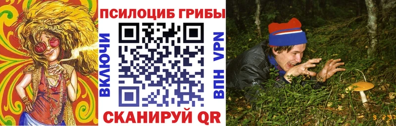 Псилоцибиновые грибы MAGIC MUSHROOMS  Купить где  Рыбное 